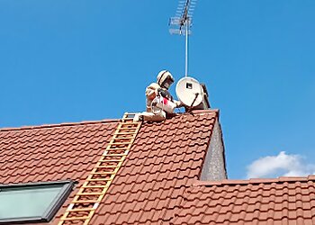 AGM Services image 2 Meilleurs Anti Nuisibles à Reims AGM Services image 2