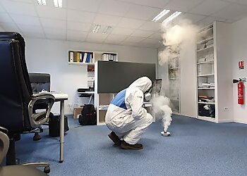 As De Pic image 2 Le Havre Pest Control As De Pic image 2