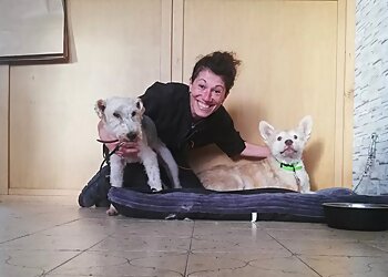 Abracadachien image 2 Dijon Dog Grooming Abracadachien image 2