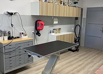 Abri Canin image 2 Meilleurs Salons de Toilettage De Chien à Nîmes Abri Canin image 2