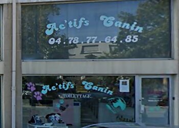 Ac'tifs Canin image 2 Meilleurs Salons de Toilettage De Chien à Lyon Ac'tifs Canin image 2