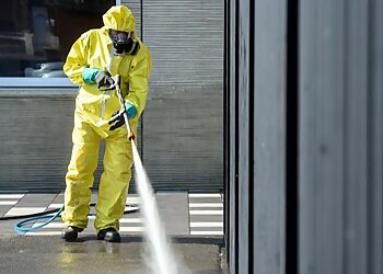 Action Dératisation & Déinsectisation Du Nord image 2 Meilleurs Anti Nuisibles à Lille Action Dératisation & Déinsectisation Du Nord image 2