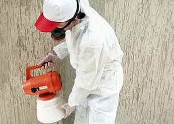 Action Dératisation & Déinsectisation Du Nord image 3 Meilleurs Anti Nuisibles à Lille Action Dératisation & Déinsectisation Du Nord image 3