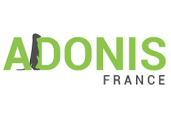 Toulon  Adonis France