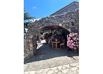 Agence de voyage ltur Strasbourg image 2 Strasbourg Travel Agencies Agence de voyage ltur Strasbourg image 2