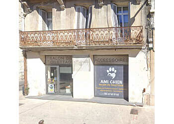 Montpellier  Ami Chien