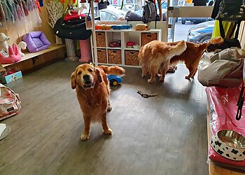 Animaux Service image 3 Toulon Dog Grooming Animaux Service image 3