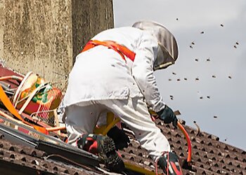 As de Pic France image 2 Meilleurs Anti Nuisibles à Saint-Denis As de Pic France image 2