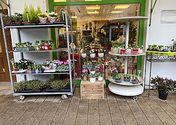 Au Jardin Fleuri image 2 Meilleurs Fleuristes à Reims Au Jardin Fleuri image 2