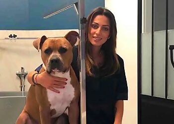 Au Luxe Canin image 2 Paris Dog Grooming Au Luxe Canin image 2