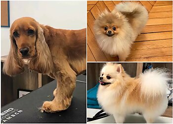 Au Luxe Canin image 3 Paris Dog Grooming Au Luxe Canin image 3