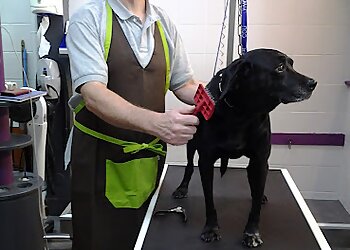 Au Paradis des Chiens image 2 Meilleurs Salons de Toilettage De Chien à Saint-Étienne Au Paradis des Chiens image 2