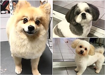 Aux 6 Os d'Or image 3 Toulouse Dog Grooming Aux 6 Os d'Or image 3