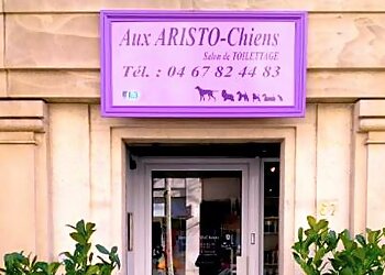 Aux ARISTO-Chiens image 2 Meilleurs Salons de Toilettage De Chien à Montpellier Aux ARISTO-Chiens image 2
