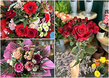 Aux Fleurs Des Routes image 3 Toulon Florists Aux Fleurs Des Routes image 3