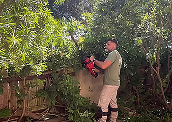 Azur Services & Gardens image 3 Toulon Landscaping Companies Azur Services & Gardens image 3