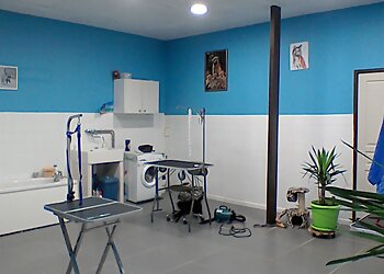 Beauté Animale image 2 Lille Dog Grooming Beauté Animale image 2