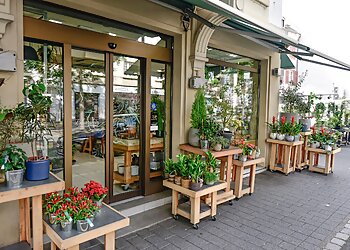 Blumstein Créateur Floral Fleuriste Créateur image 2 Strasbourg Florists Blumstein Créateur Floral Fleuriste Créateur image 2