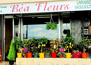 Meilleurs Fleuristes à Nice Béa Fleurs image 1