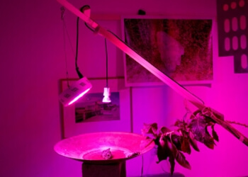 CACN - Centre d'Art Contemporain de Nîmes image 3 Meilleures Galeries D'Art à Nîmes CACN - Centre d'Art Contemporain de Nîmes image 3