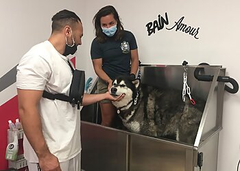 C'Ouaf Canin image 3 Meilleurs Salons de Toilettage De Chien à Montpellier C'Ouaf Canin image 3