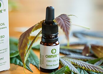 Camille OlivierI image 3 Grenoble Photographers Camille OlivierI image 3