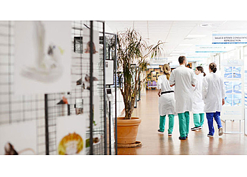 Meilleurs Cliniques Vétérinaires à Nantes Centre Hospitalier Universitaire Vétérinaire image 1