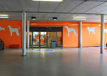 Meilleurs Cliniques Vétérinaires à Nantes Centre Hospitalier Vétérinaire Atlantia image 1