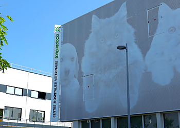 Meilleurs Cliniques Vétérinaires à Montpellier Centre Hospitalier Vétérinaire Languedocia image 1