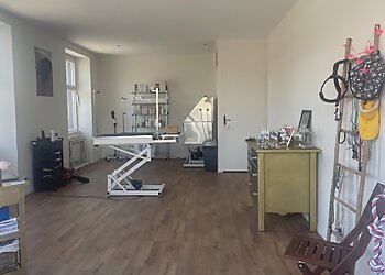 Chic Canin image 2 Rennes Dog Grooming Chic Canin image 2