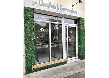 CleanPoils & Gourmandises image 1 Toulon Dog Grooming CleanPoils & Gourmandises image 1