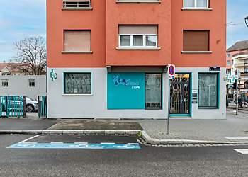 Strasbourg Veterinarians Clinique Veterinaire Etoile image 1