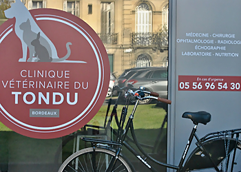 Clinique Vétérinaire Du Tondu image 3 Bordeaux Veterinarians Clinique Vétérinaire Du Tondu image 3