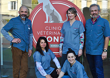 Bordeaux Veterinarians Clinique Vétérinaire Du Tondu image 1