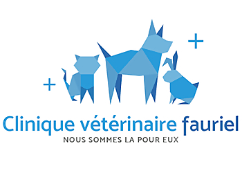 Clinique Vétérinaire Fauriel image 3 Meilleurs Cliniques Vétérinaires à Saint-Étienne Clinique Vétérinaire Fauriel image 3