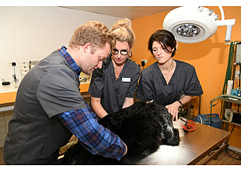 Le Havre Veterinarians Clinique Vétérinaire Joffre image 1