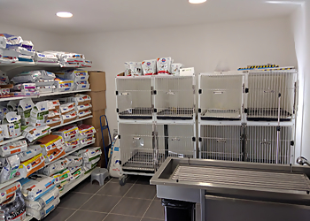 Clinique Vétérinaire des 4 Chemins image 2 Toulon Veterinarians Clinique Vétérinaire des 4 Chemins image 2