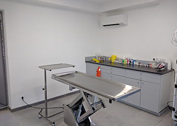 Clinique Vétérinaire des 4 Chemins image 3 Toulon Veterinarians Clinique Vétérinaire des 4 Chemins image 3