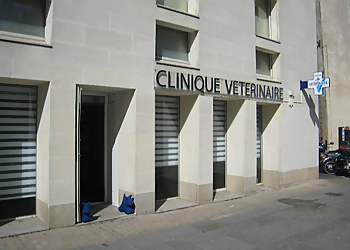 Meilleurs Cliniques Vétérinaires à Nantes Clinique Vétérinaire du Cours image 1