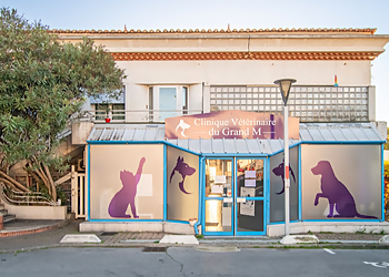 Meilleurs Cliniques Vétérinaires à Montpellier Clinique Vétérinaire du Grand M Montpellier image 1