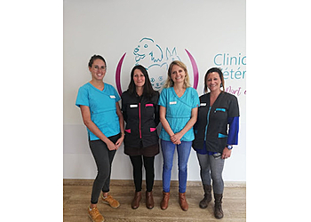 Clinique Vétérinaire du Port de la Lune image 3 Bordeaux Veterinarians Clinique Vétérinaire du Port de la Lune image 3