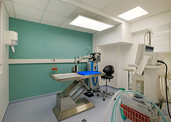Clinique vétérinaire Berlioz image 3 Meilleurs Cliniques Vétérinaires à Nice Clinique vétérinaire Berlioz image 3