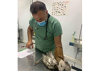 Marseille Veterinarians Clinique vétérinaire K d'Urgence image 1