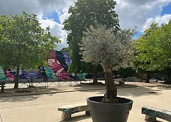 Collège Lycée Les Maristes Toulouse image 2 Toulouse High School Collège Lycée Les Maristes Toulouse image 2