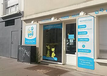 Nantes Dog Grooming De bon poil image 1