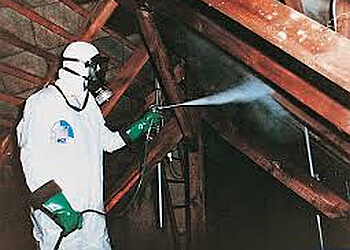 DERATOX LILLE image 2 Lille Pest Control DERATOX LILLE image 2