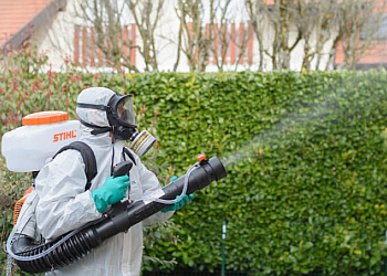 DERATOX LILLE image 3 Lille Pest Control DERATOX LILLE image 3