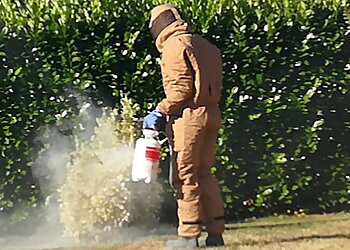 Dkm Experts image 2 Lyon Pest Control Dkm Experts image 2