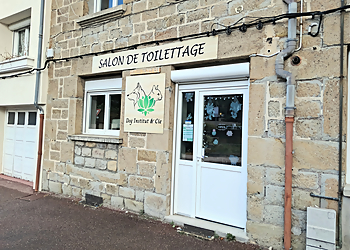 Meilleurs Salons de Toilettage De Chien à Saint-Étienne Dog Institut & Cie image 1