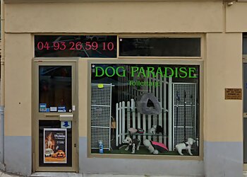 Nice Dog Grooming Dog Paradise image 1